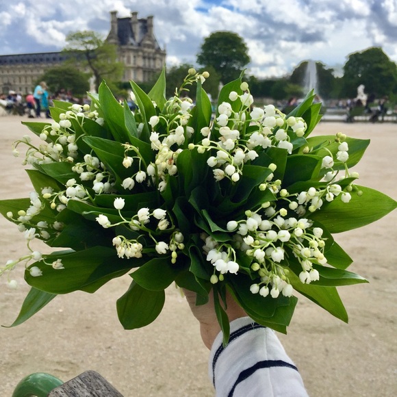 Meet your Posh ambassador Nelly - Picture 1 of 1